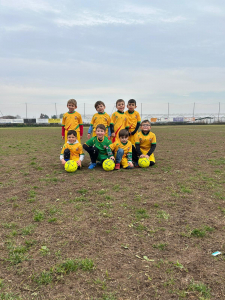 Piccoli amici