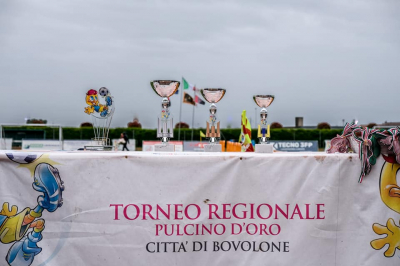 I Torneo Regionale Pulcino d'Oro città di Bovolone