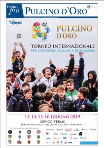 I Torneo Regionale Pulcino d'Oro città di Bovolone