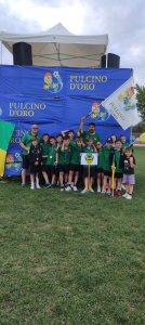 Pulcini 2013