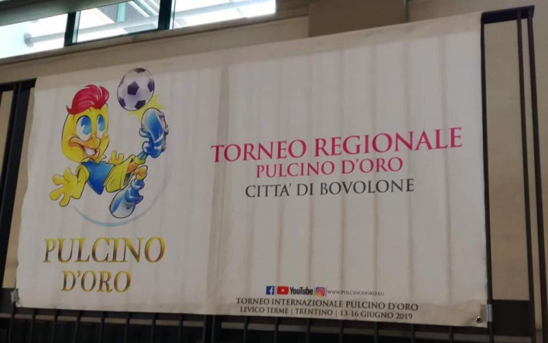 I Torneo Regionale Pulcino d'Oro città di Bovolone