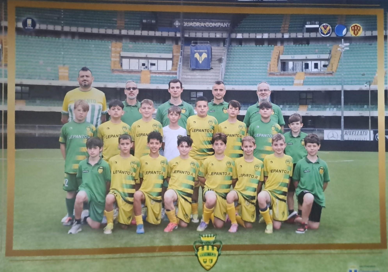Pulcini 2015